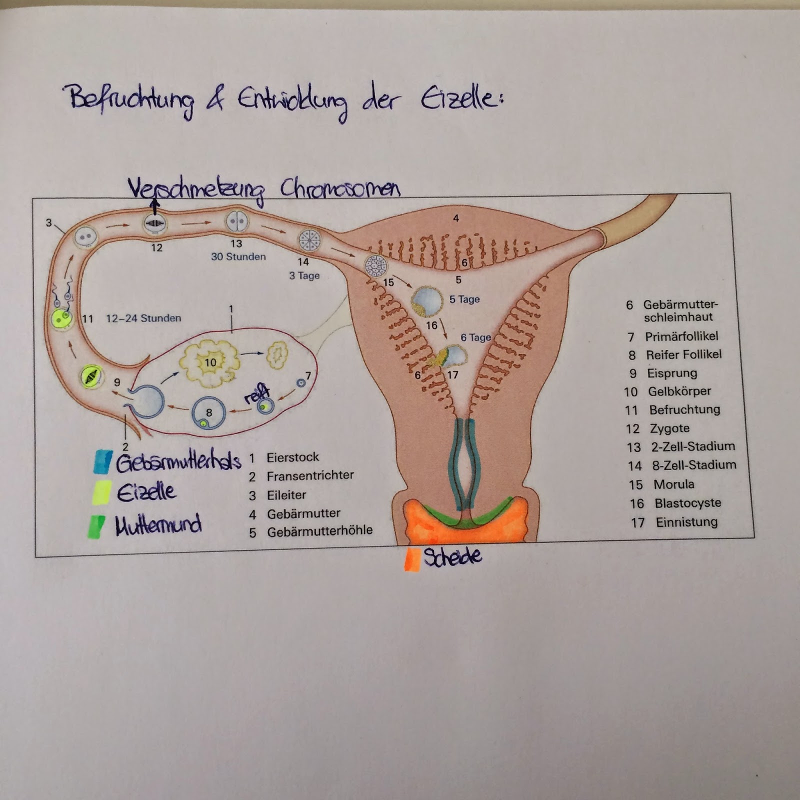 Biologie-Blog: 2014